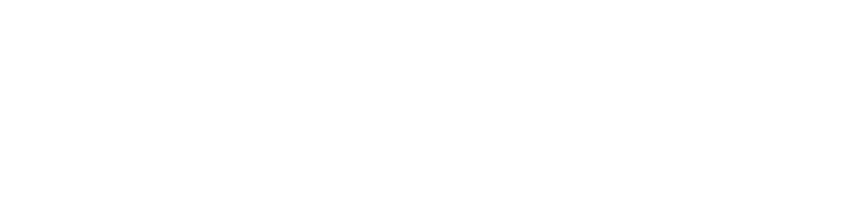 Vindis Logo 1200x300px