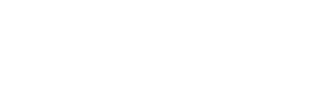 Vindis_Logo_300px_Height